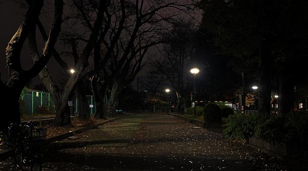 夜の公園,イメージ